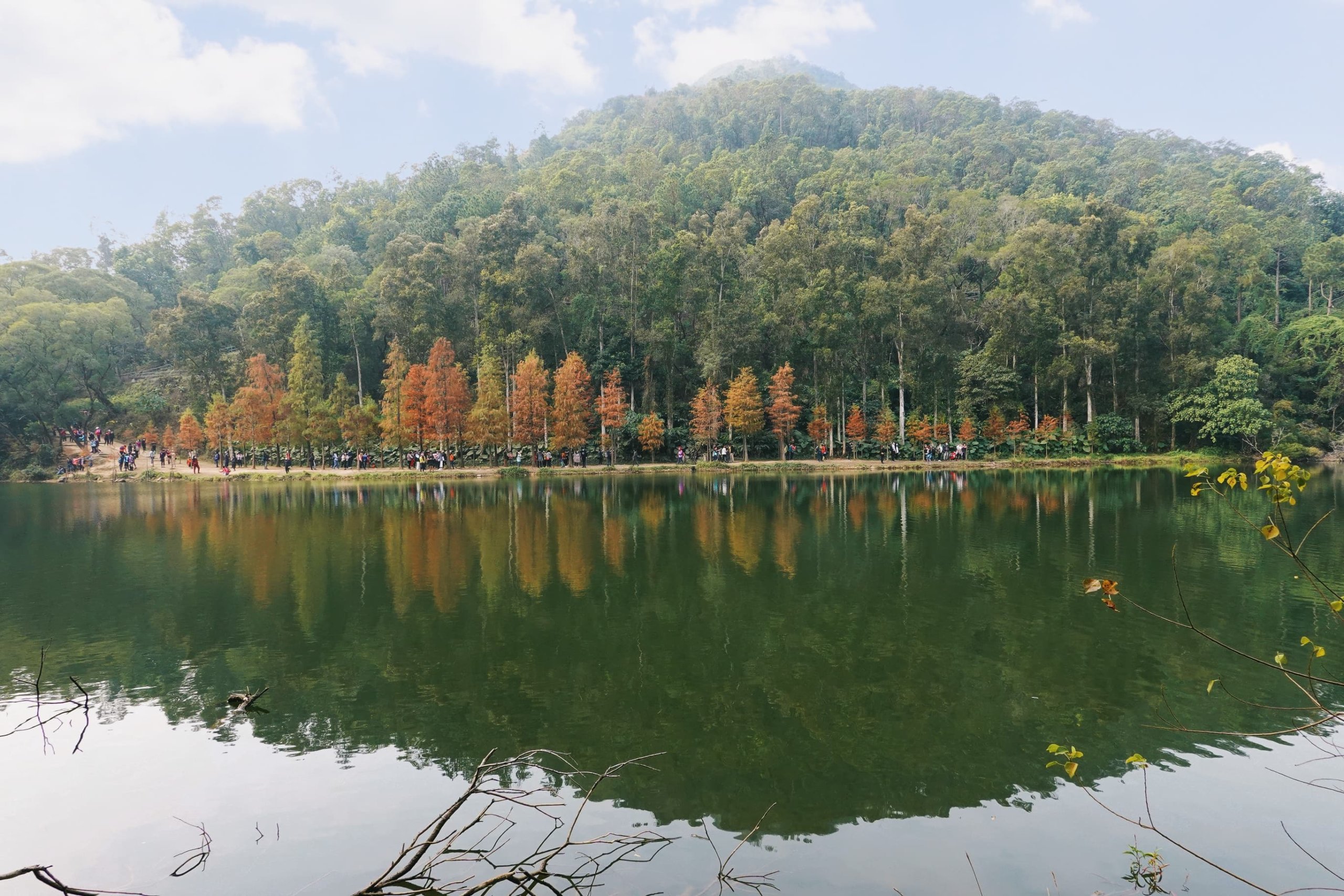 在水塘的環迴步道,沿途風景,令人似置身國外。