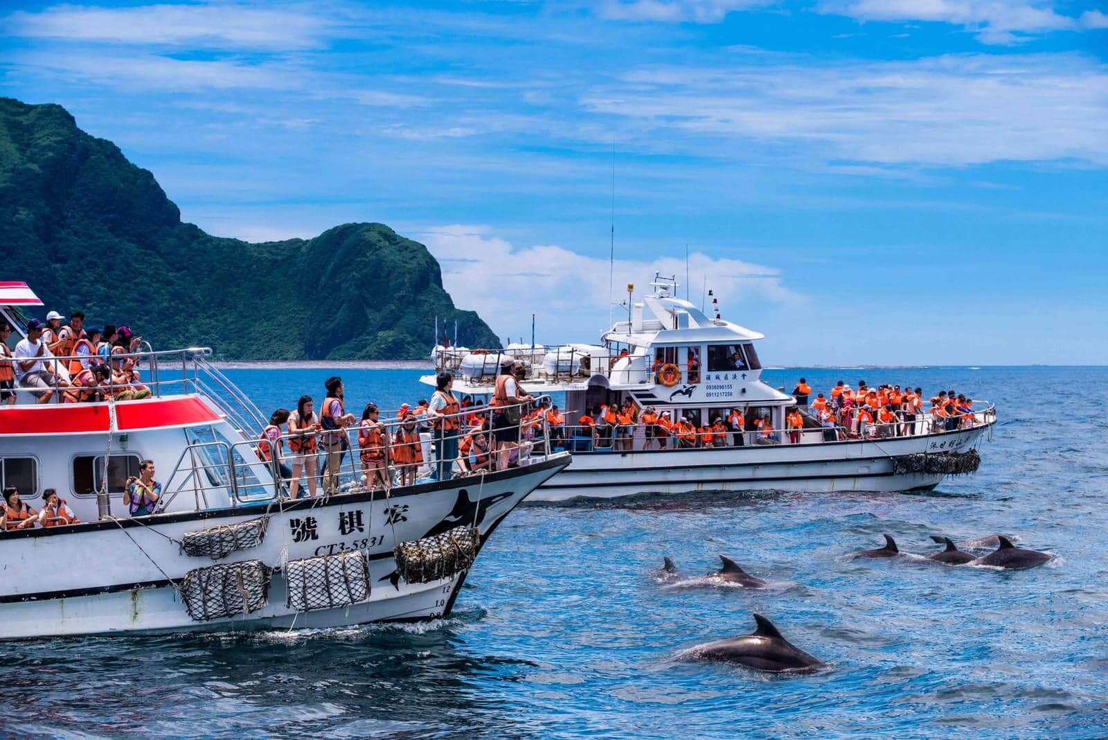 「宜蘭賞鯨二日遊」登船同俏皮的鯨豚前往龜山島。